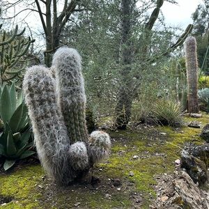 Meet your Posher, Ellie